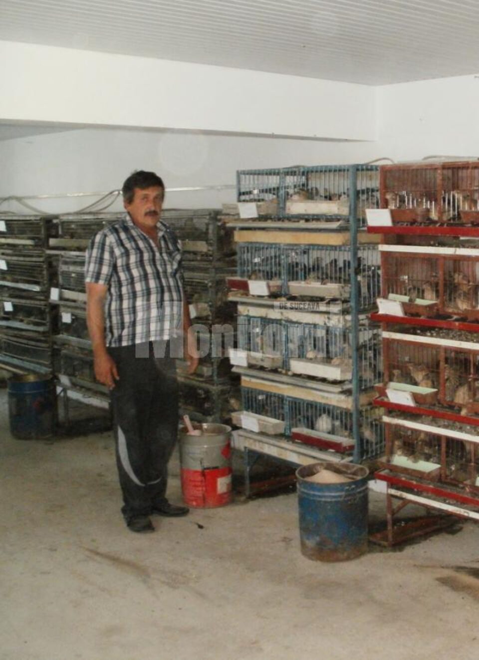 Ioan Buzduga crește în momentul de față peste 2.000 de prepelițe