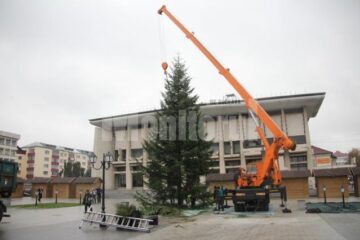 Bradul de Crăciun a fost adus din pădurile din zona Râșca, fiind donat Primăriei de către Direcția Silvică