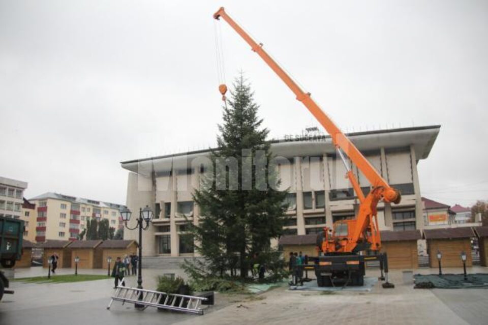 Bradul de Crăciun a fost adus din pădurile din zona Râșca, fiind donat Primăriei de către Direcția Silvică
