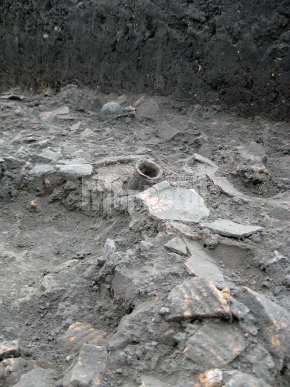 Ceramica pre Cucuteni II în situl arheologic