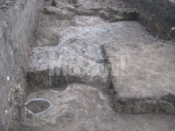 Descoperiri arheologice la Baia