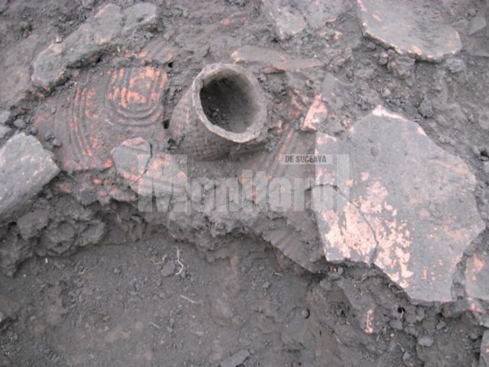 Descoperiri arheologice la Baia