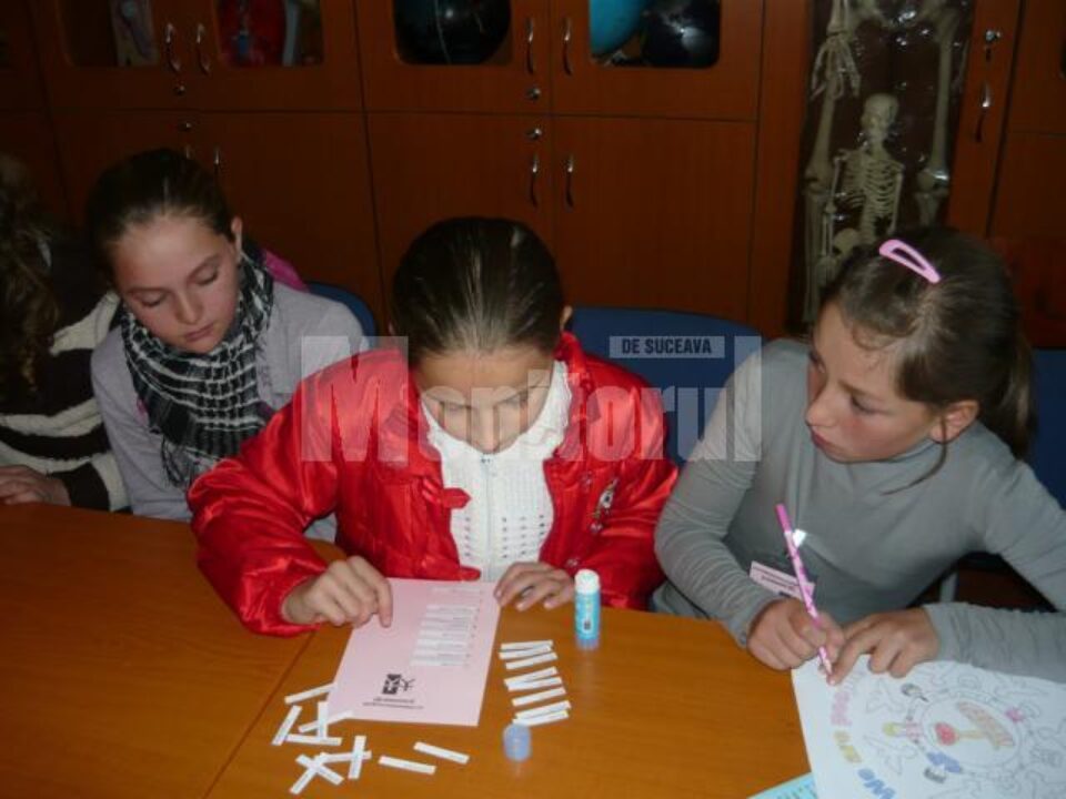 Activități pentru a marca importanța “Zilei Toleranței”