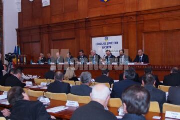 Ședința comună Suceava – Cernăuți