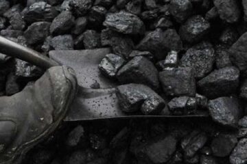 „Fă-ți vara sanie și iarna căruță”