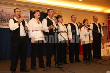 Grupul mixt de la Mitocu Dragomirnei