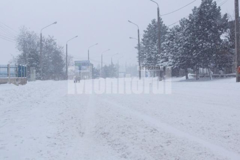Școlile din cinci localități sucevene rămân închise și marți