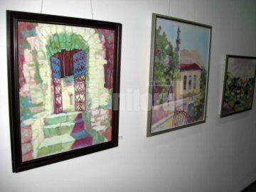 Secvență din expoziție