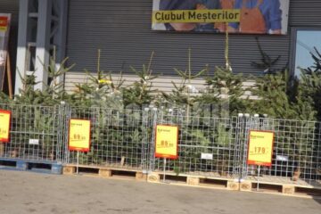 Hipermarketurile sunt pline cu brazi aduși de la mare distanță, din țări precum Danemarca sau Norvegia