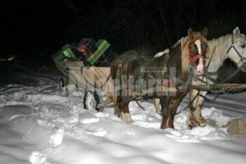 37.760 de pachete de țigări, în valoare de 303.000 lei, abandonate în faeton