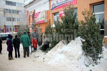 Mulți întreabă de prețuri, dar puțini cumpăra, spun vânzătorii de brazi