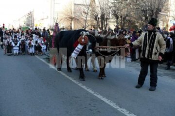 Festivalul de datini și obiceiuri populare de iarnă „Porniți plugul, Feți-Frumoși!”