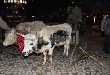 Peste două mii de fălticeneni au petrecut în stradă de Anul Nou