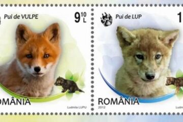 Filatelie - Pui de animale sălbatice
