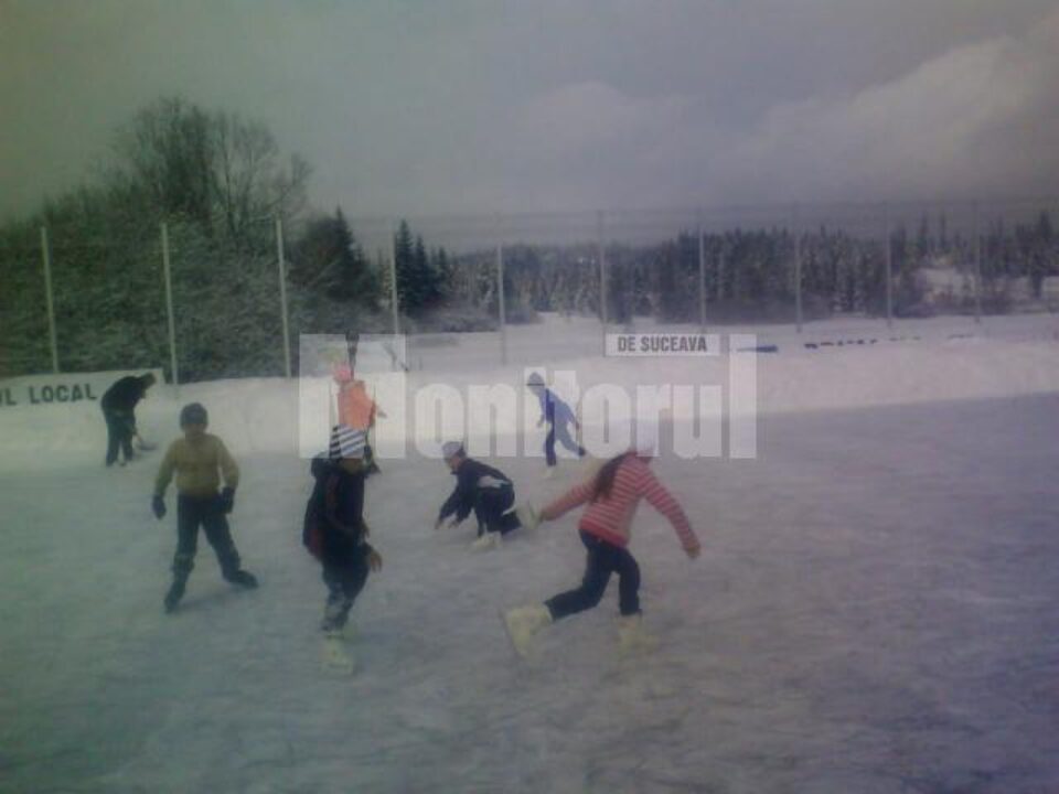 Lecția de patinaj
