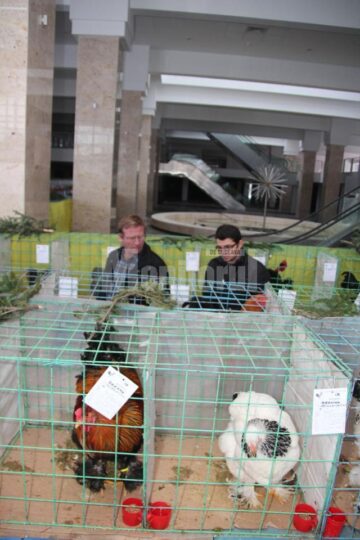 Expoziția, organizată la parterul complexului Orizont Plaza, poate fi vizitată până duminică inclusiv