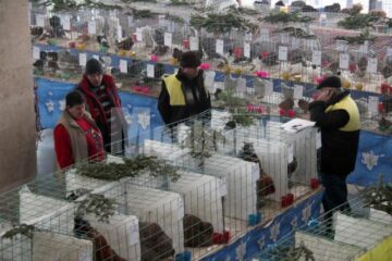 Expoziția, organizată la parterul complexului Orizont Plaza, poate fi vizitată până duminică inclusiv