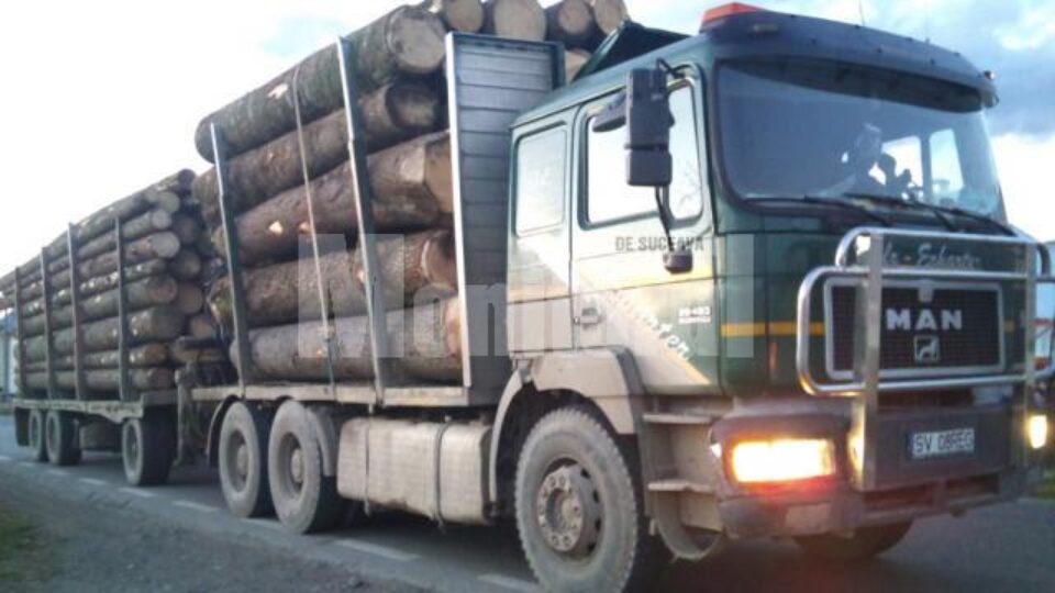 Camion plin cu arbori nemarcați