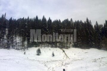 În pădurea pe care o avea în grijă pădurarul Mihai Turcu au fost găsite peste 80 de cioate ale unor arbori