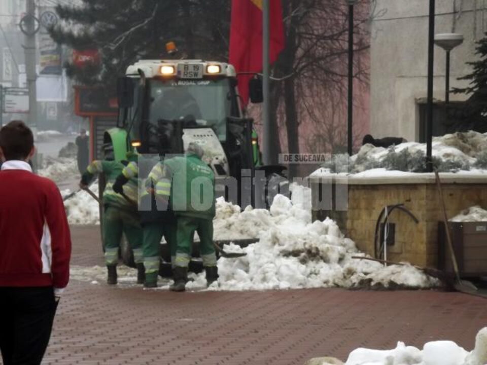 Mormanele de zăpadă de pe străzi și trotuare sunt duse pe terenuri virane