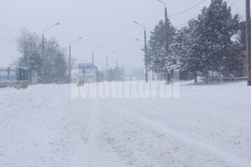zăpadă
