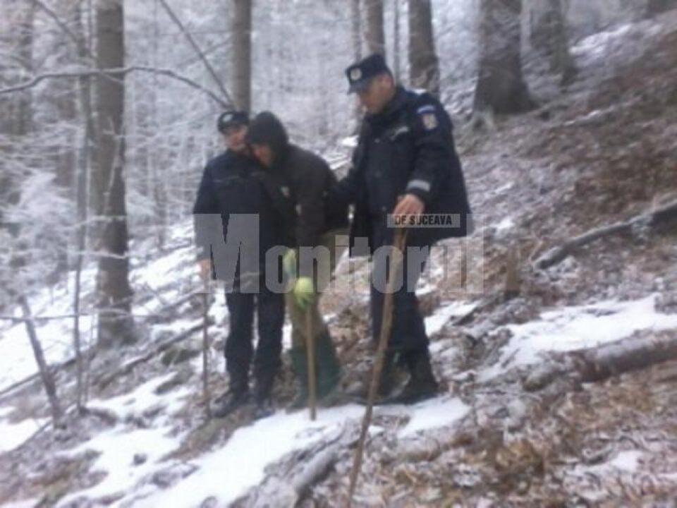 recuperare din pădure