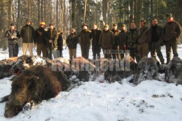 Venituri de peste 120.000 de euro, obținute din vânătoare, pe fondurile gestionate de Direcția Silvică Suceava