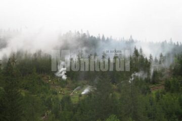 Cele mai multe incendii s-au înregistrat la Ocoalele Silvice Dolhasca și Iacobeni