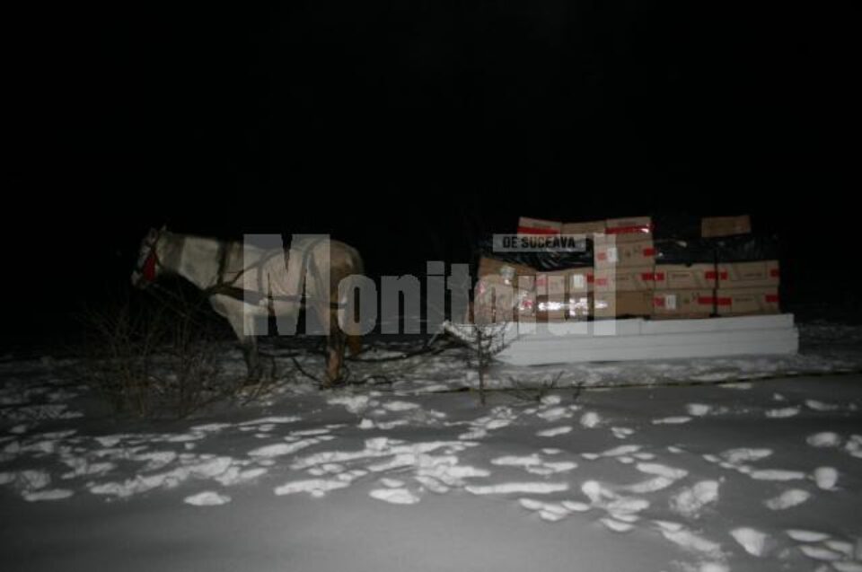 Sanie cu aproape 35.000 de pachete de țigări, abandonată lângă graniță