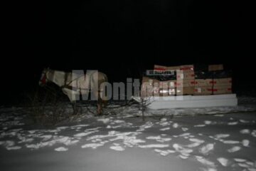 Sanie cu aproape 35.000 de pachete de țigări, abandonată lângă graniță
