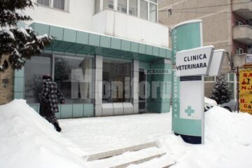 Clinica Helmivet este deschisă zilnic, iar cazurile de urgență sunt rezolvate la orice oră din zi și din noapte