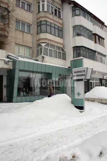Clinică veterinară ultramodernă, deschisă la Rădăuți