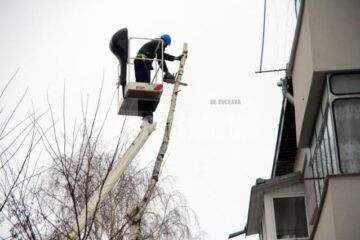 Campania de toaletare a arborilor și de tăiere a celor periculoși e în plină desfășurare