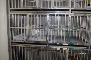 Clinică veterinară ultramodernă, deschisă la Rădăuți