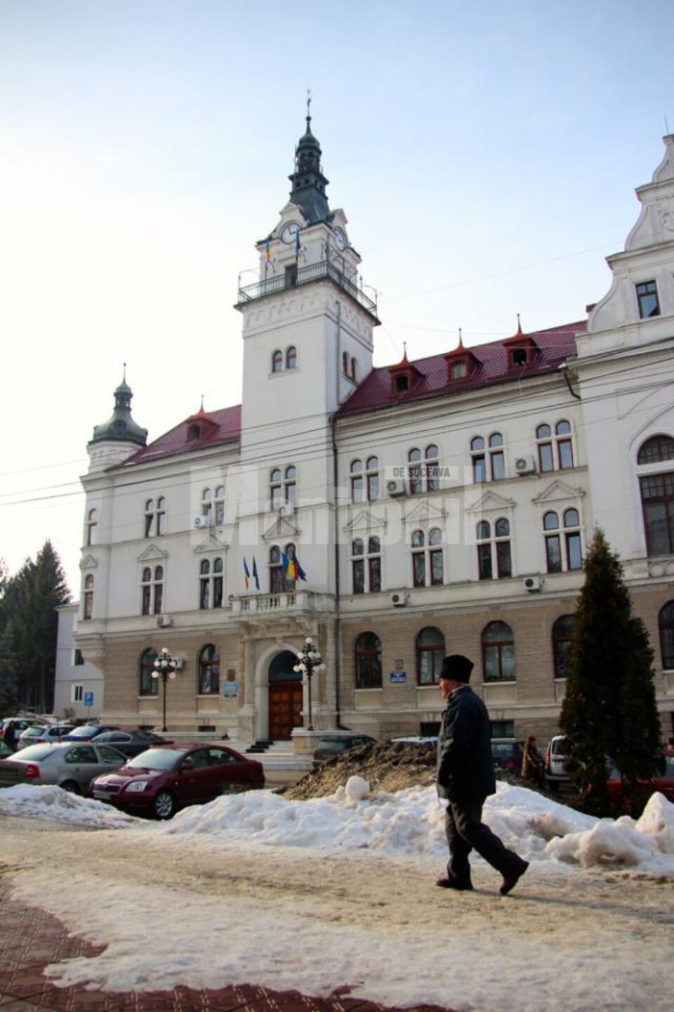 Consiliul Județean Suceava