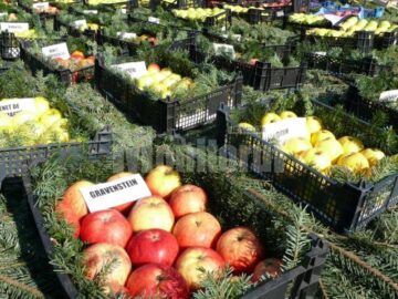 Soiuri fructe