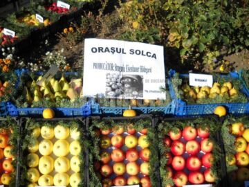 Soiuri fructe