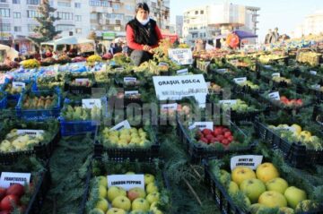 Hildegard Eisenhauer Strugariu deține o suprafață de cinci hectare de livadă pe care cultivă 80 de soiuri de măr și 14 soiuri de păr