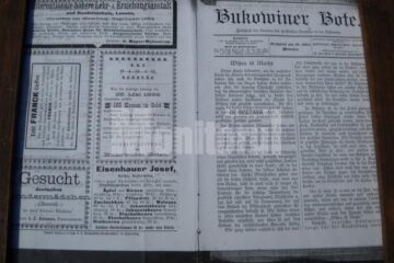 Articol de ziar prin care Iosef Haisehaur, în data de 25 mai 1898, își făcea reclamă cu material săditor din peste 100 de sortimente de măr și păr