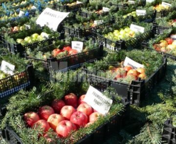 Soiuri fructe