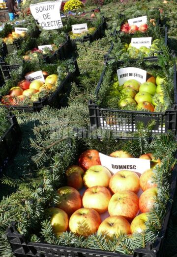 Soiuri fructe