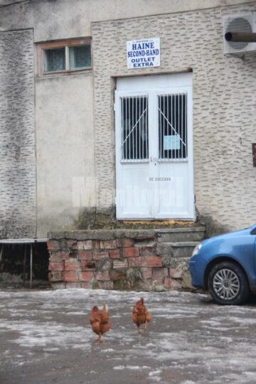 Sărăcia este cuvântul de ordine la Solca