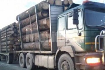 camion lemne