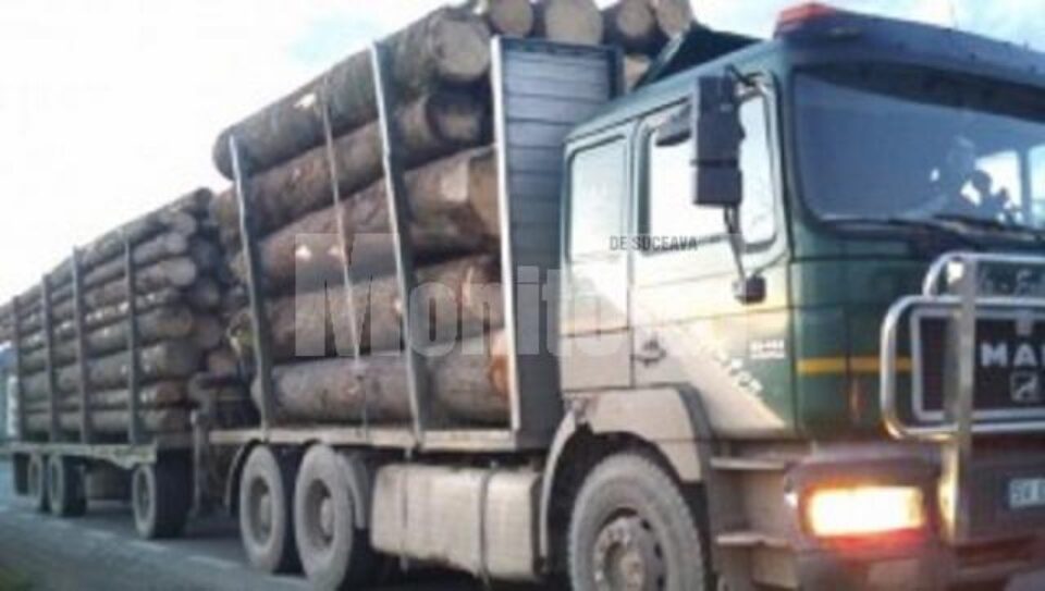 camion lemne