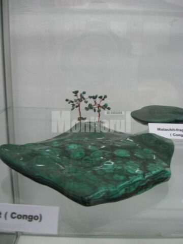 Expoziția „Decorațiuni în piatră”