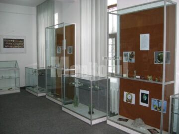 Expoziția „Decorațiuni în piatră”