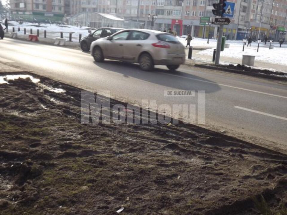 Spațiile verzi din zona centrală au fost făcute praf de roțile mașinilor parcate ilegal