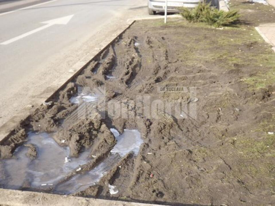 Spațiile verzi din zona centrală au fost făcute praf de roțile mașinilor parcate ilegal