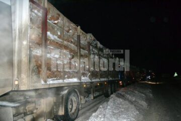 Polițiștii au verificat în trafic 388 de mașini care transportau lemn