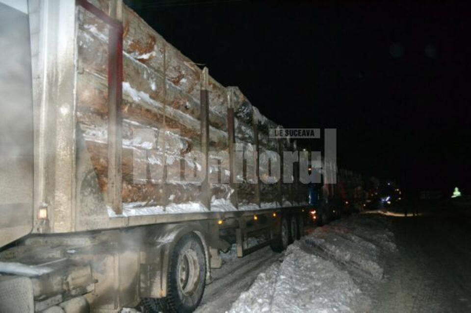 Polițiștii au verificat în trafic 388 de mașini care transportau lemn